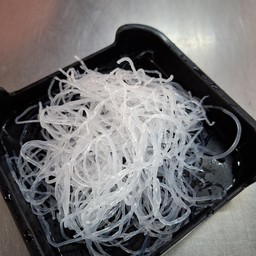 วุ้นเส้น