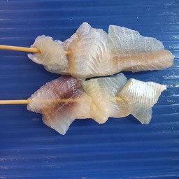 ปลาดอลลี่