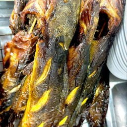 ปลาดุก