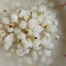 บวชเดือย