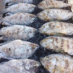 ปลานิลเผา XL (1 ตัว)