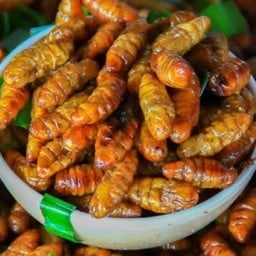 แมลงทอดนายโก กับแกล้มแสนอร่อย