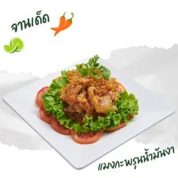 แมงกะพรุนน้ำมันงา