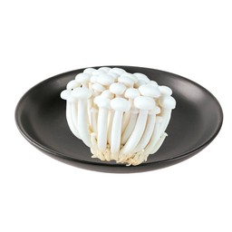 เห็ดชิเมจิ