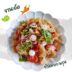 ยำแมงกะพรุน เยอะๆ