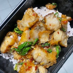 หมูกรอบ ผัดใบโหระพา