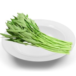 ผักบุ้ง