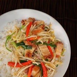 ผัดถั่วงอก