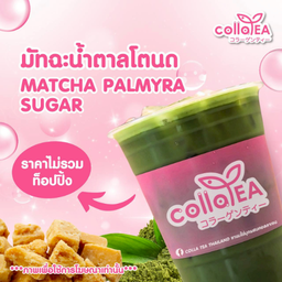 มัทฉะน้ำตาลโตนด Deli