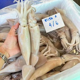 หมึกอาเจนสด1kg.