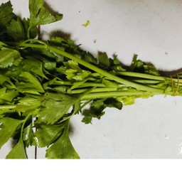 ผักชีใหญ่