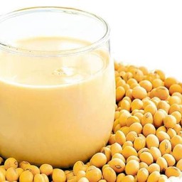 ู้น้ำเต้าหู้ธรรมดา