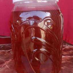 เก๊กฮวย