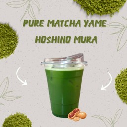 Pure Matcha Hoshino Mura (Secret)