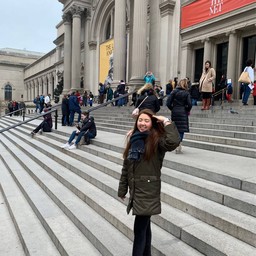 The Metropolitan Museum of Art