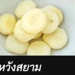 สมหวังสยามเอก (สมหวังล้วน 10 ลูก)