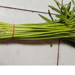 บุ้งจีน