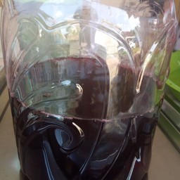 กระเจี๊ยบ