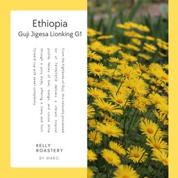 Ethiopia Guji jigesa Lionking G1