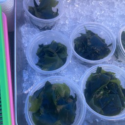 สาหร่ายวากาเมะ