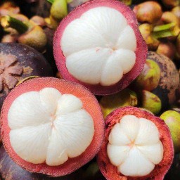 ผลไม้ชื่นใจ ผลไม้สดพร้อมทาน
