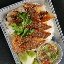 บ้านกินปลา ถ.รักษ์พรุ