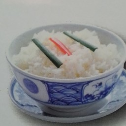 ข้าวเปล่า / rice