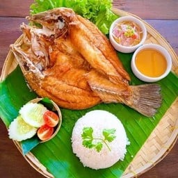 ข้าวหมูทอด แสงออกปาก