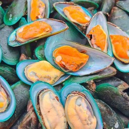 หอยแมลงภู่ (พร้อมทาน)