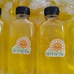 เก๊กฮวย