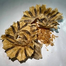 ปลาวงทอด