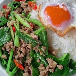 ข้าวคะน้าหมูสับ