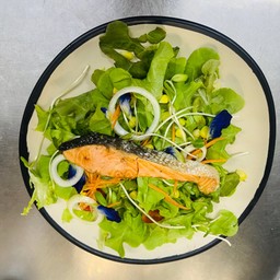 สลัดแซลมอน