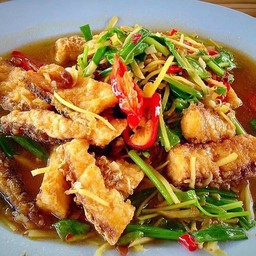 ปลาเก๋าผัดคื่นช่าย(จาน)