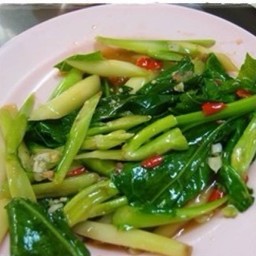 ผัดคะน้าน้ำมันหอย