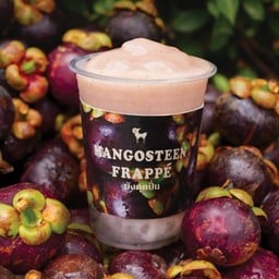 Fresh Mangosteen Frappe มังคุดปั่น