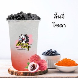 ลิ้นจี่โซดา