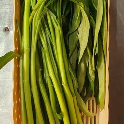 28ผักบุ้ง