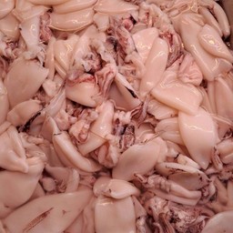 ปลาหมึกสด