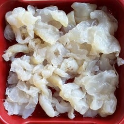 15แมงกะพรุน