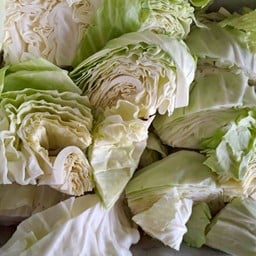 ผักกะหล่ำ