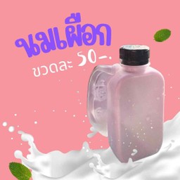นมเผือก