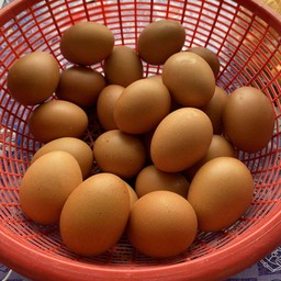 ข้าวเปียกชามโตตาดแคนซอย9