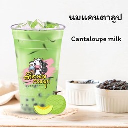 นมแคนตาลูป