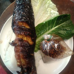 ปลาดุกย่าง