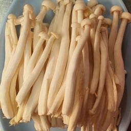 35เห็ดชิเมจิ