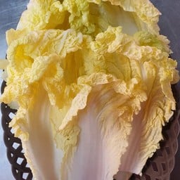 29ผักกาดขาว