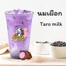 นมเผือก