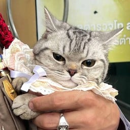แล้วแต่อยากขาย