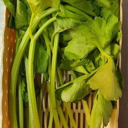 31คื่นช่าย